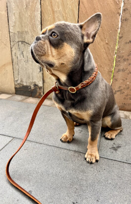 Heidlband — Halsband & Leinen Manufaktur